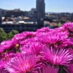 对魔忍雪风动漫 3oxwn